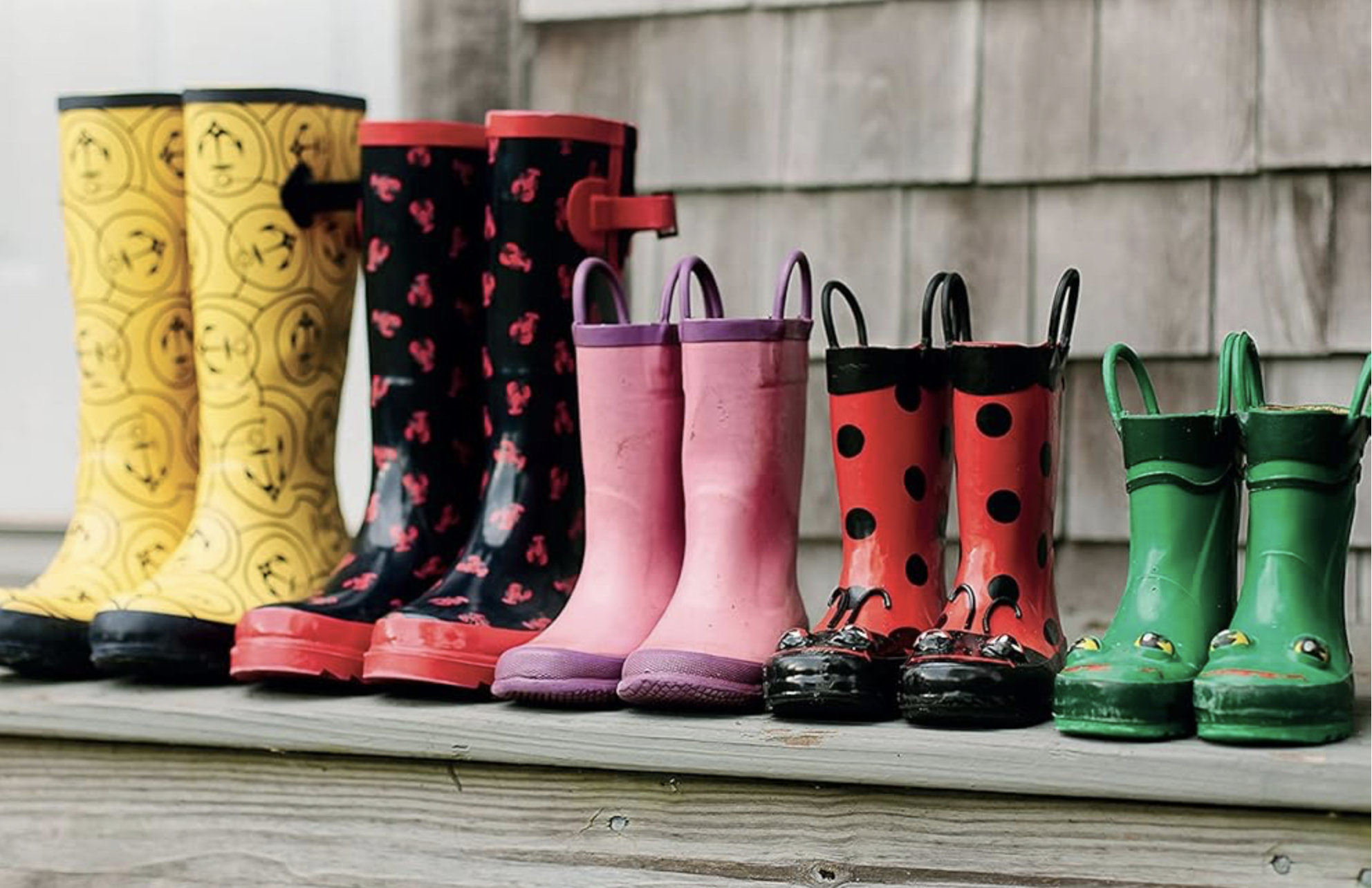 A Sociology of Family Life: Change and Diversity in Intimate Relations, 2nd Edition